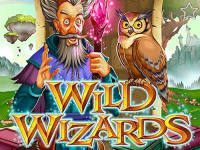 Wild Wizards